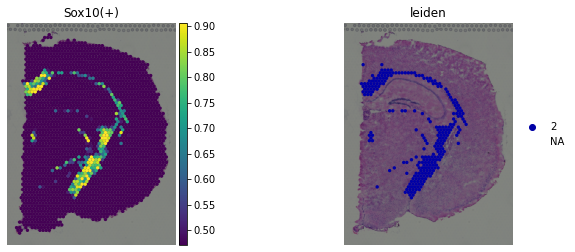 ../_images/tutorials_10x_visum_23_1.png