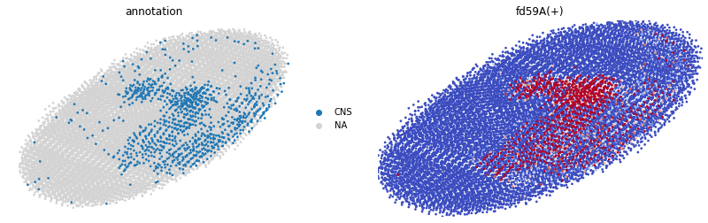 ../_images/tutorials_Stereo_seq_34_1.png