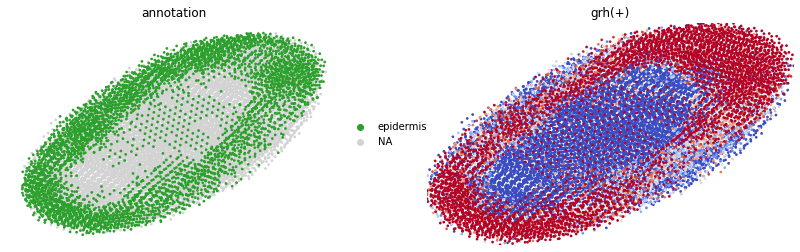 ../_images/tutorials_Stereo_seq_33_1.png