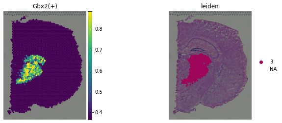 ../_images/tutorials_10x_visum_24_1.png