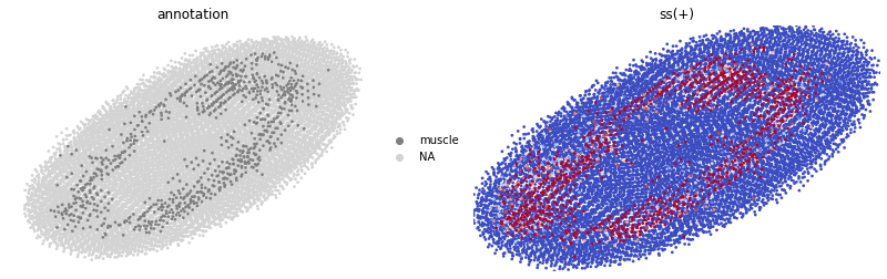 ../_images/tutorials_Stereo_seq_35_1.png